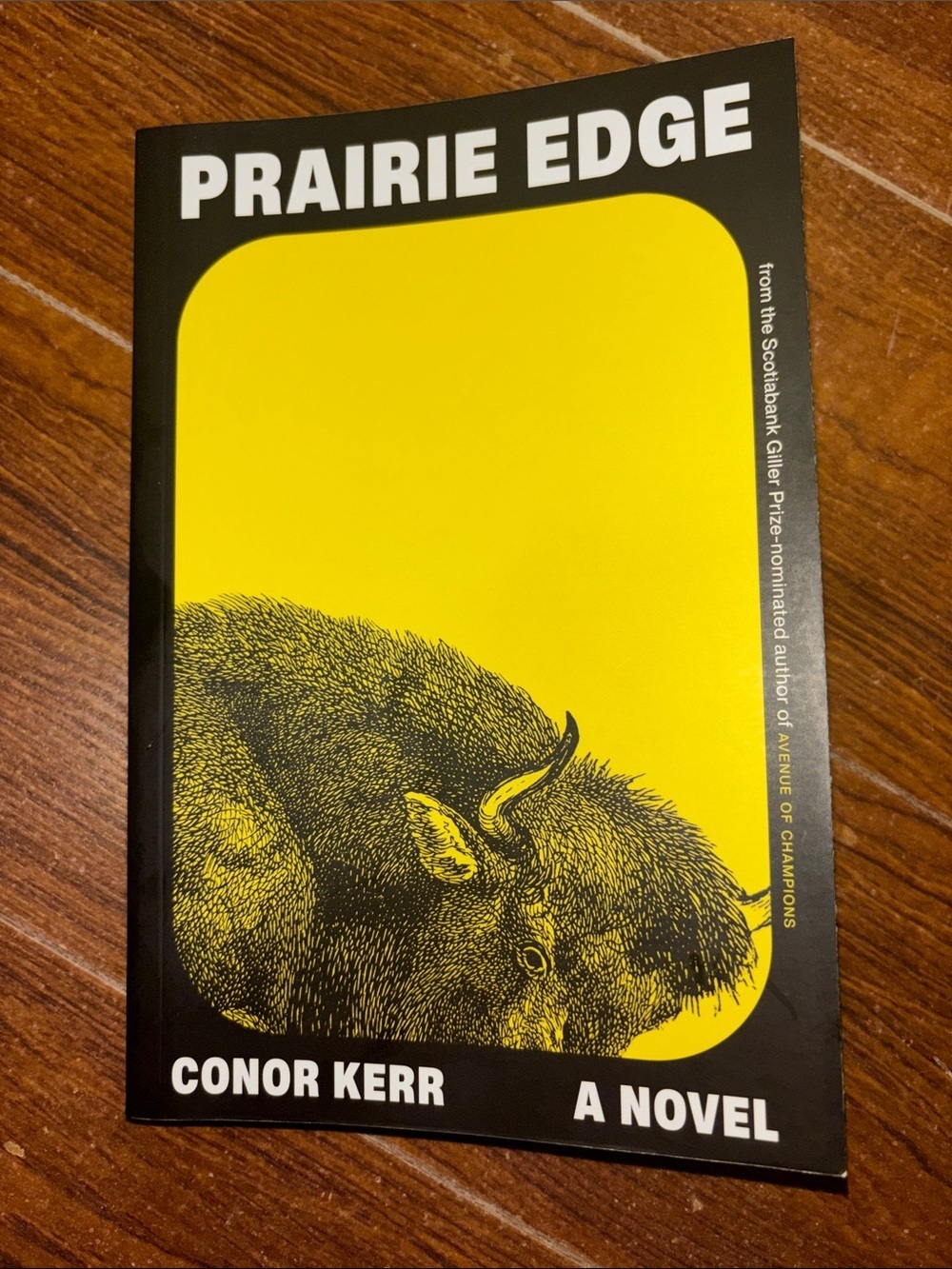 🦬Mix & Match 4/$30 - Prairie Edge by Conor Kerr